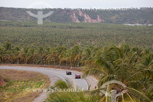  Subject: Coconut trees and the AL - 101 highway viewed from the observatory of Gunga Beach  / Place:  Alagoas state - Brazil  / Date: 2011 