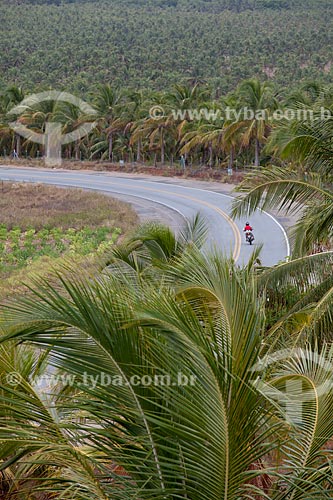  Subject: Coconut trees and the AL - 101 highway viewed from the observatory of Gunga Beach  / Place:  Alagoas state - Brazil  / Date: 2011 