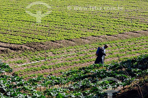  Subject: Farmer working on a vegetables plantation in the mountainous region of Rio de Janeiro - Teresopolis - Friburgo Road  / Place:  Teresopolis - Rio de Janeiro state - Brazil  / Date: 08/2010  