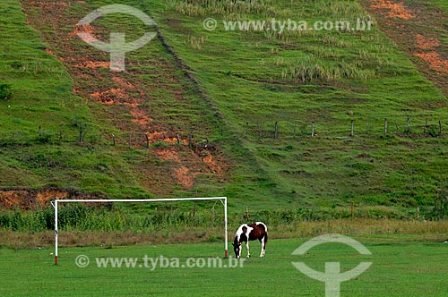  Subject: Horse grazing in a soccer field of natural grass  / Place:  Casimiro de Abreu city - Rio de Janeiro state - Brazil  / Date: 05/2010 