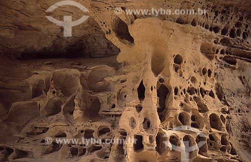  Subject: Rock cliff honeycombed with dissolution holes - Caatinga / Place: Central - Bahia state - Brazil 