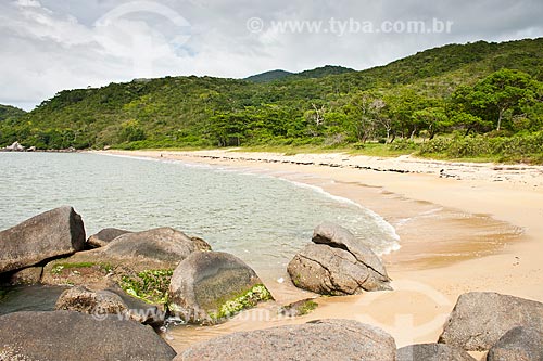  Subject: Cardoso Beach / Place: Bombinhas - Santa Catarina state (SC) - Brazil / Date: 11/01/2011 