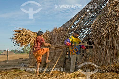  Subject: Construction of a thatched hut - Kalapalo Indian Village - Xingu Indian Park  / Place:  Querencia - Mato Grosso state - Brazil  / Date: 07/2009 