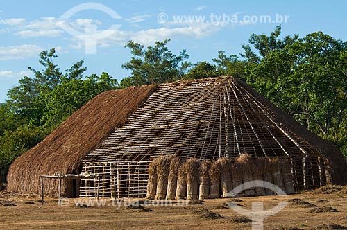  Subject: Construction of a thatched hut - Kalapalo Indian Village - Xingu Indian Park  / Place:  Querencia - Mato Grosso state - Brazil  / Date: 07/2009 
