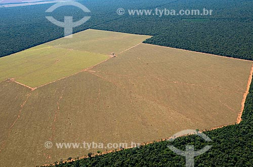  Subject: Aerial view of deforested fields for plating of grains  / Place:  Date: Canarana - Mato Grosso state - Brazil  / Date: Canarana - Mato Grosso - MT / Local: 07/2009 