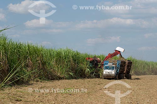 Subject: Mechanized sugar cane harvesting  / Place:  Promissao - Sao Paulo state - Brazil  / Date: 04/2010 