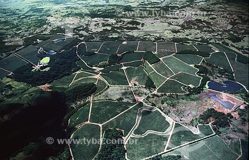  Subject: Aerial view of the Gaucho mountains forming a patchwork of croplands  / Place:  Rio Grande do Sul state - Brazil  / Date: 2008 