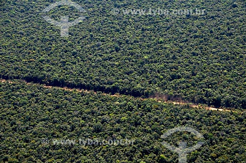  Subject: Aerial view of the rainforest in the Canarana region  / Place:  Canarana - Mato Grosso state - Brazil  / Date: 07/2009 