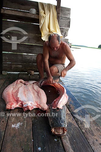  Subject: Riverine cleaning a pirarucu (Arapaima gigas) in the Boca do Mamiraua community  / Place:  Sustainable Development Reserve of Mamiraua - Amazonas state - Brazil  / Date: 2007 
