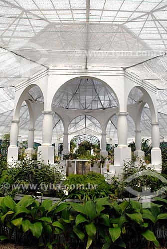  Subject: Orchid nursery of the Botanical Garden of Rio de Janeiro city  / Place:  Brazil  / Date: 2010 