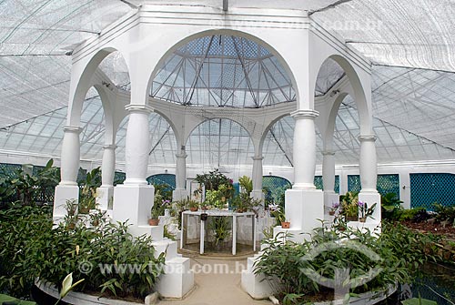  Subject: Orchid nursery of the Botanical Garden of Rio de Janeiro city  / Place:  Brazil  / Date: 2010 