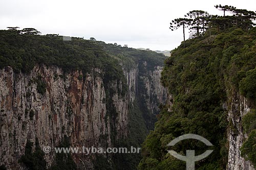  Subject: View of the Aparados da Serra National Park  / Place:  Rio Grande do Sul state - Brazil  / Date: 03/2011 