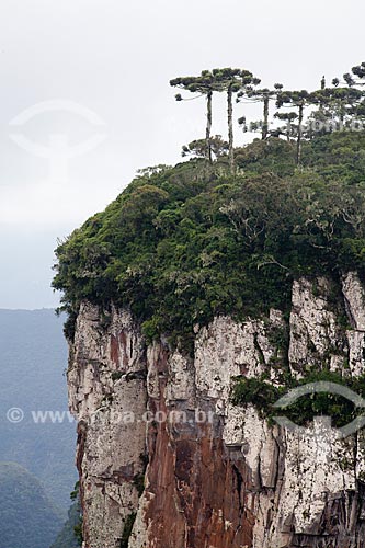  Subject: View of the Aparados da Serra National Park  / Place:  Rio Grande do Sul state - Brazil  / Date: 03/2011 