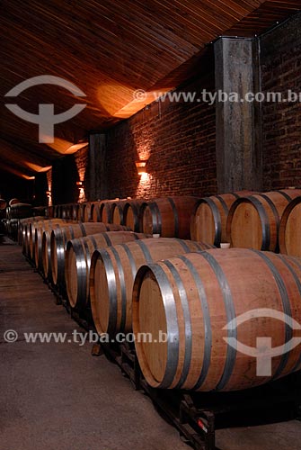  Subject: Deposit with barrels vineyard Aquitaine / Place: Santiago - Chile - South America / Date: 01/2011 