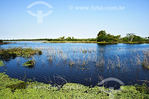  Subject: View of flooded field / Place: Pantanal - Mato Grosso do Sul state - MS - Brazil / Date: 10/2010 