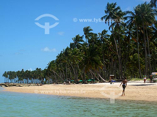  Subject: Carneiros beach - Coral coast region / Place: Tamandare city - Pernambuco state (PE) - Brazil / Date: 03/2011 