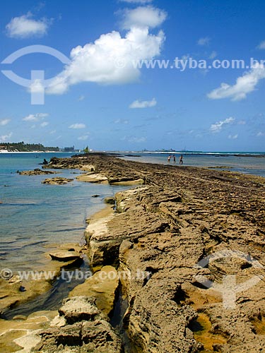  Subject: Muro Alto beach - Porto de Galinhas -Coral coast region / Place: Ipojuca city - Pernambuco state (PE) - Brazi / Date: 03/2011 