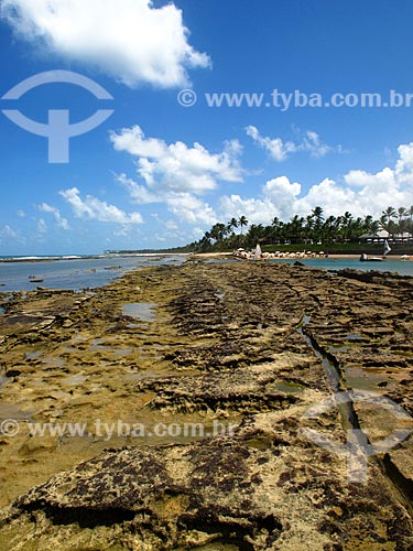  Subject: Muro Alto beach - Porto de Galinhas -Coral coast region / Place: Ipojuca city - Pernambuco state (PE) - Brazi / Date: 03/2011 