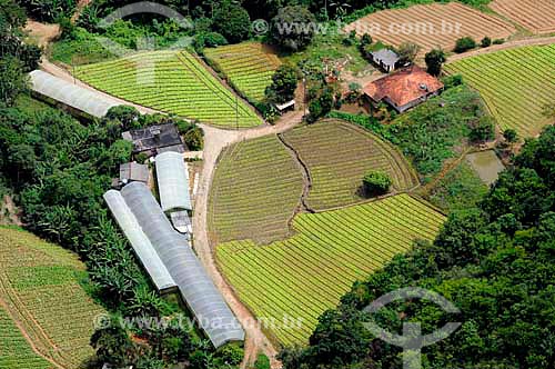  Subject: Aerial view of rural housing and agricultural plantation in the Fluminense mountainous region  / Place: Teresopolis city - Rio de Janeiro state (RJ) - Brazil / Date: 01/2011 