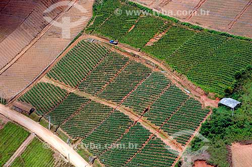  Subject: Aerial view of rural housing and agricultural plantation in the Fluminense mountainous region / Place: Teresopolis city - Rio de Janeiro state (RJ) - Brazil / Date: 01/2011  