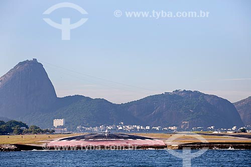  Subject: Plane on the runway of Santos Dumont Airport with Sugar Loaf in the background / Place: Rio de Janeiro city - Rio de Janeiro state - Brazil / Date: 02/2011 