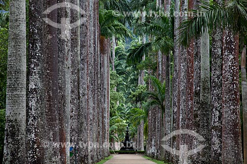 Subject: Royal palms and fountain of the Muses in the background / Place: Jardim Botânico neighborhood - Rio de Janeiro city - Rio de Janeiro state (RJ) - Brazil / Date: 03/2011 