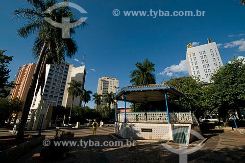  Subject: Rui Barbosa Square also known as the Ox Square / Place: Araçatuba city - Sao Paulo state (SP) - Brazil / Date: 04/2010 