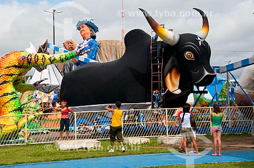  Subject: Carnival floats of the Caprichoso Boi (Capricious Ox) / Place: Parintins city - Amazonas state (AM) - Brazil / Date: 06/2010 