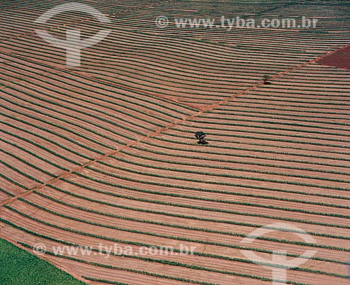  Subject: Aerial view of planting soybeans after harvest / Place: Maringa city - Parana state (PR) - Brazil / Date: 2009 