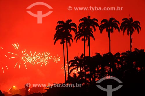  Subject: Palm trees of the Botanical Garden with fireworks in the background / Place: Rio de Janeiro city - Rio de Janeiro state (RJ) - Brazil / Date: 04/2009 