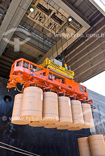  Subject: Ship unloading paper in the port of Rio Grande / Place: Rio Grande city - Rio Grande do Sul state (RS) - Brazil / Date: 01/2009 