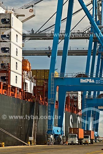  Subject: Ship in the container terminal at the port of Rio Grande - Tecon / Place: Rio Grande city - Rio Grande do Sul state (RS)  - Brazil / Date: 01/2009 