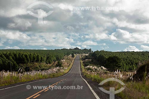  Subject: State Highway RS-235 / Place: Rio Grande do Sul state (RS) - Brazil / Date: 03/2011 