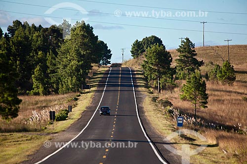 Subject: State Highway RS-235 / Place: Rio Grande do Sul state (RS) - Brazil / Date: 03/2011 