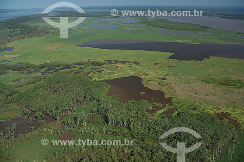  Subject: Floodplain of Amazon River near of city Careiro da Varzea   / Place: Careiro da Varzea city - Amazonas state (AM) - Brazil / Date: 06/2007 