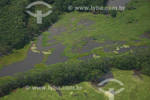  Subject: Floodplain of Amazon River near of city Careiro da Varzea   / Place: Careiro da Varzea city - Amazonas state (AM) - Brazil / Date: 06/2007 