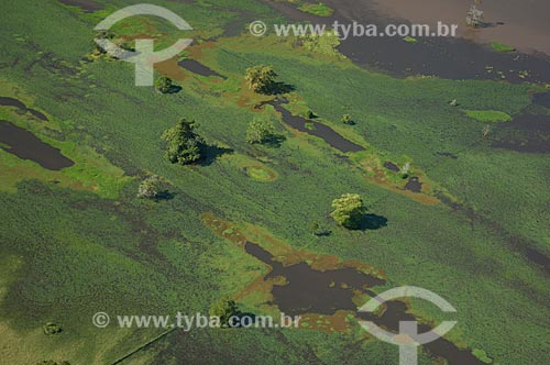  Subject: Floodplain of Amazon River / Place: Amazonas state (AM) - Brazil / Date: 06/2007 