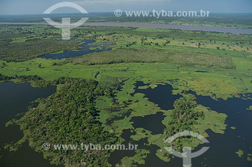  Subject: Floodplain of the Amazon River near of Manaus city / Place: Manaus city - Amazonas state (AM) - Brazil / Date: 06/2007 