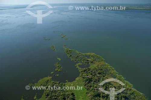  Subject: Igapó Forest on the Negro River near of Manaus city / Place: Amazonas state (AM) - Brazil / Date: 06/2007 