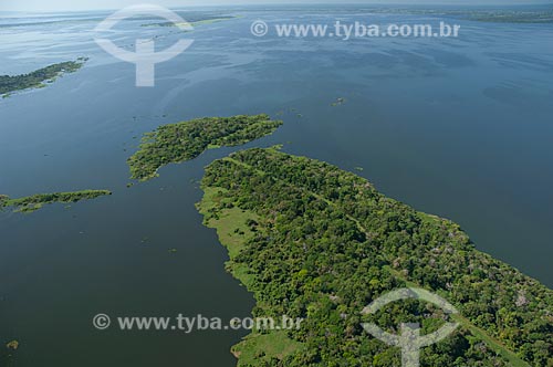  Subject: Igapó Forest on the Negro River near of Manaus city / Place: Amazonas state (AM) - Brazil / Date: 06/2007 