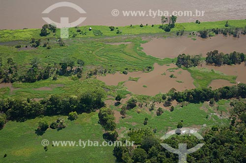  Subject: Floodplain of Amazon River near of city Careiro da Varzea   / Place: Careiro da Varzea city - Amazonas state (AM) - Brazil / Date: 06/2007 