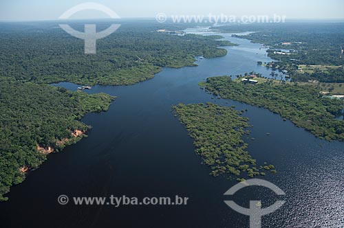  Subject: Igapo rainforest in Negro River in near Manaus city / Place: Amazonas state (AM) - Brazil / Date: 06/2007 