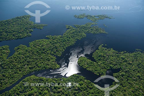  Subject: Igapo rainforest in Negro River in near Manaus city / Place: Amazonas state (AM) - Brazil / Date: 06/2007 