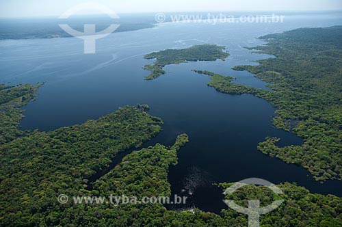  Subject: Igapo rainforest in Negro River in near Manaus city / Place: Amazonas state (AM) - Brazil / Date: 06/2007 