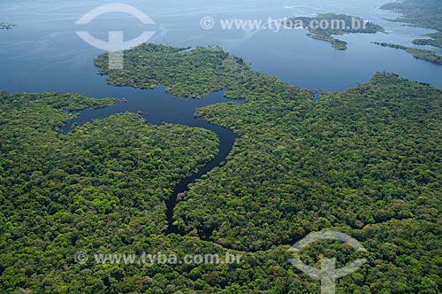  Subject: Igapo rainforest in Negro River in near Manaus city / Place: Amazonas state (AM) - Brazil / Date: 06/2007 