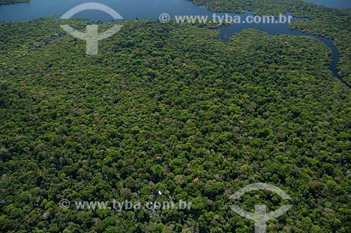  Subject: Igapo rainforest in Negro River in near Manaus city / Place: Amazonas state (AM) - Brazil / Date: 06/2007 