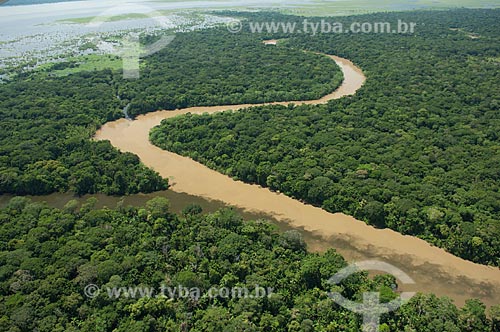  Subject: Aerial view of floodplain river / Place: Santa Cruz Department - Bolivia - South America / Date: 03/2008 