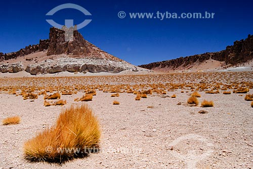  Subject: The path of the Salar de Tara / Place: Atacama Desert - North of Chile - South America / Date: 01/2011 