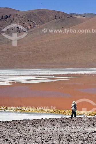  Subject: Laguna Colorada - Eduardo Avaroa National Reserve - The path to the Salar de Uyuni / Place: Bolivia - South America / Date: 01/2011 