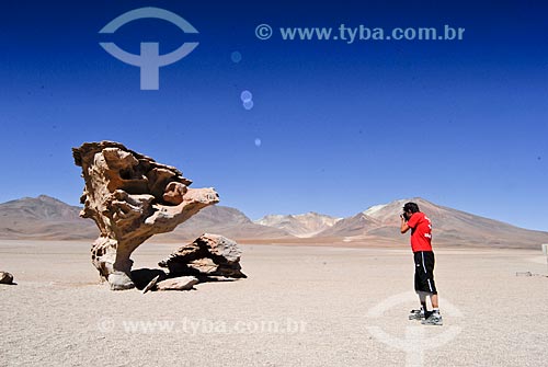  Subject: Arbol de Piedra - Eduardo Avaroa National Reserve - The path to the Salar de Uyuni / Place: Bolivia - South America / Date: 01/2011 